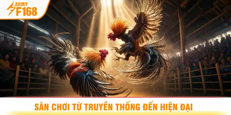 Sân Chơi Từ Truyền Thống Đến Hiện Đại