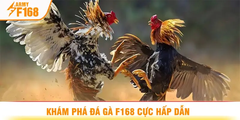 Khám Phá Đá Gà F168 Cực Hấp Dẫn